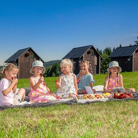 Polana Piorun Domki Wakacyjne W Beskidach Krynica Zdroj Dış mekan fotoğraf