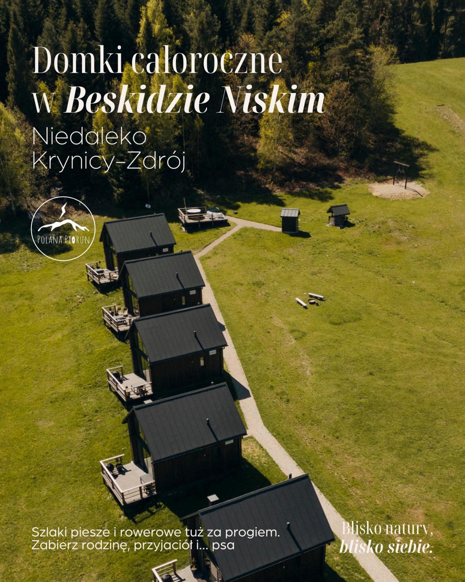 Polana Piorun Domki Wakacyjne W Beskidach Krynica Zdroj Dış mekan fotoğraf