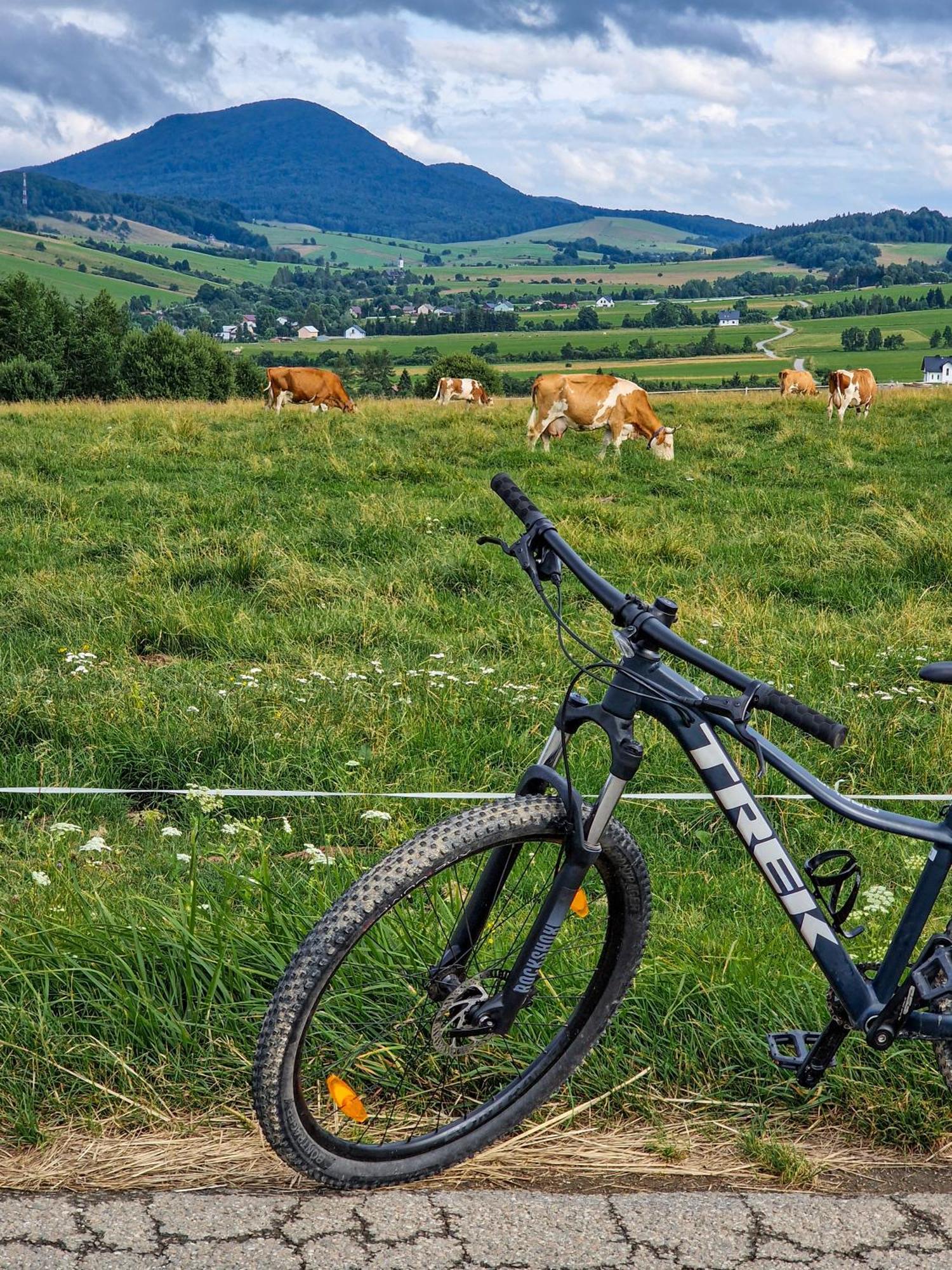 Polana Piorun Domki Wakacyjne W Beskidach Krynica Zdroj Dış mekan fotoğraf